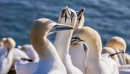 老司机的路上哲学：以经验点亮每一次出发