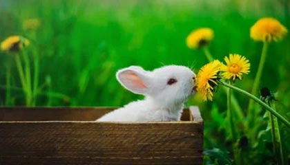 集优影视：引领影视娱乐的新潮流