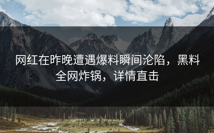 网红在昨晚遭遇爆料瞬间沦陷，黑料全网炸锅，详情直击