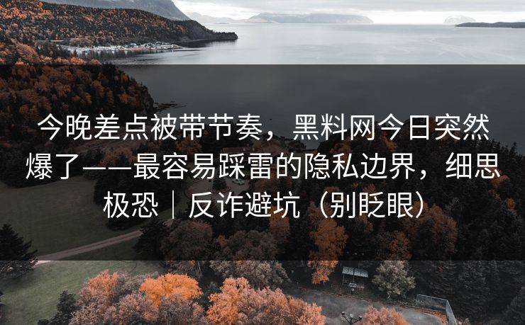 今晚差点被带节奏，黑料网今日突然爆了——最容易踩雷的隐私边界，细思极恐｜反诈避坑（别眨眼）