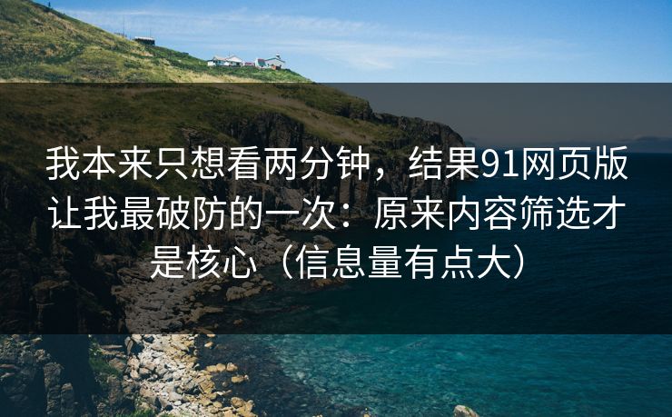 我本来只想看两分钟,结果91网页版让我最破防的一次:原来内容筛选才是核心(信息量有点大)